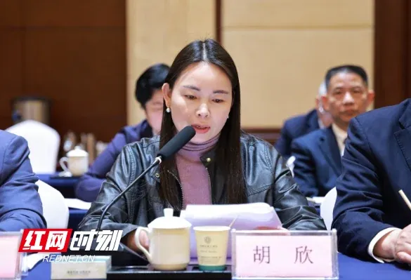 Hu Xin bei einer Sitzung der Volkskongress-Abgeordneten.